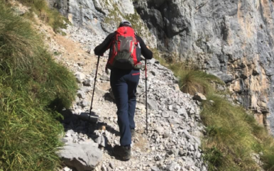 Los 8 pasos de tu transformación