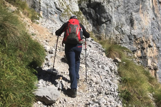 Los 8 pasos de tu transformación